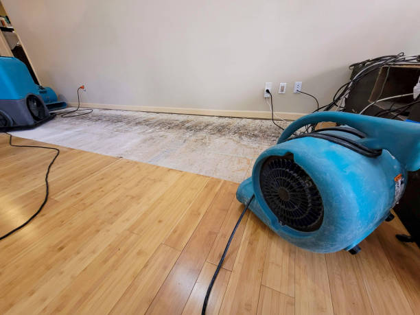Professional Structural Drying technician working in Gordonville, PA